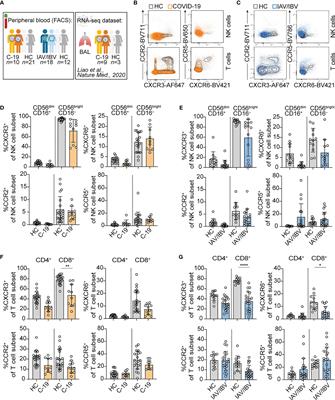 Comparison of Lung-Homing Receptor Expression and Activation Profiles on NK Cell and T Cell Subsets in COVID-19 and Influenza